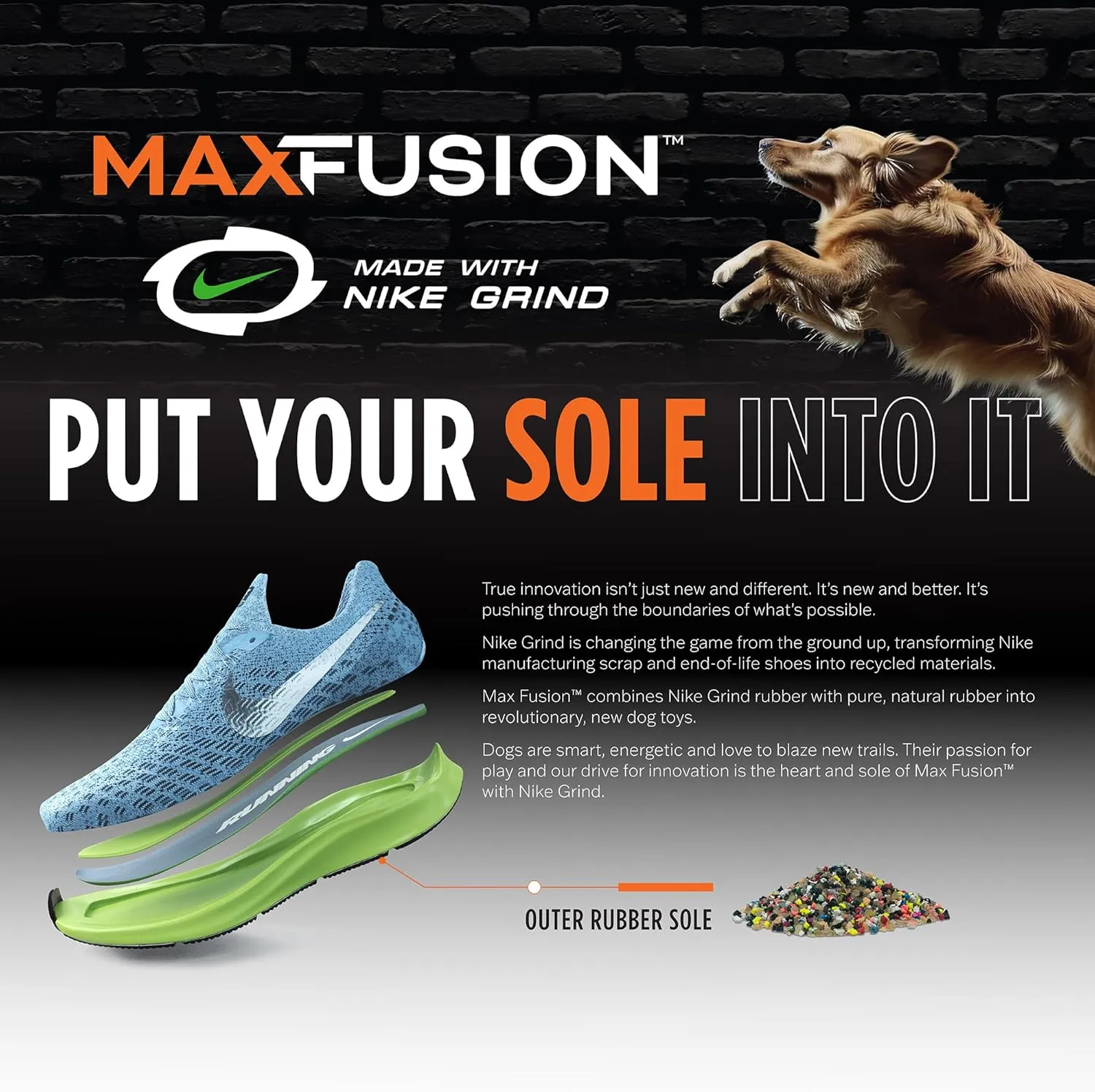 Max Fusion with Nike Grind, Arlee Cannon Treat Dispensing Dog Toy, Durable Dog Treat Toy, M
