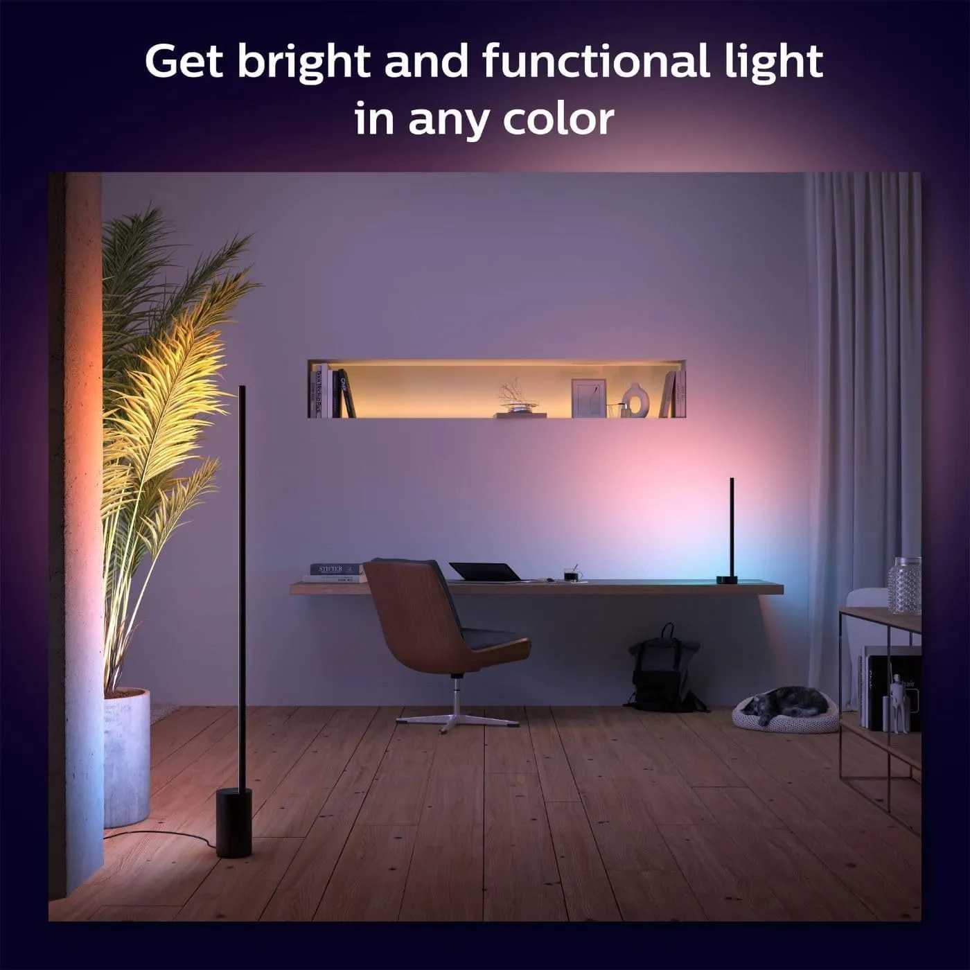 Philips Hue Gradient Signe Floor Lamp, Compatible with Alexa, Apple Homekit and Google Assistant, Bluetooth Compatible, Flowing Multicolor Effect, Black, 1 Count (Pack of 1)