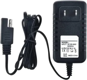 PKPower B Connector Charger Small 6V for Disney Quad Pacific Cycle Marvel The Avenger Good Dinosaur Princess Fairies CAR McQueen ATV 6V Battery Ride ON Walmart Target Toy R US