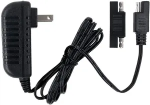 Replacement Charger 6V Fit for Disney Quad Pacific Cycle Marvel The Avenger Good Dinosaur Princess Fairies Minnie Mouse Frozen CAR McQueen ATV 6V Battery Ride ON Walmart Target Toy R US