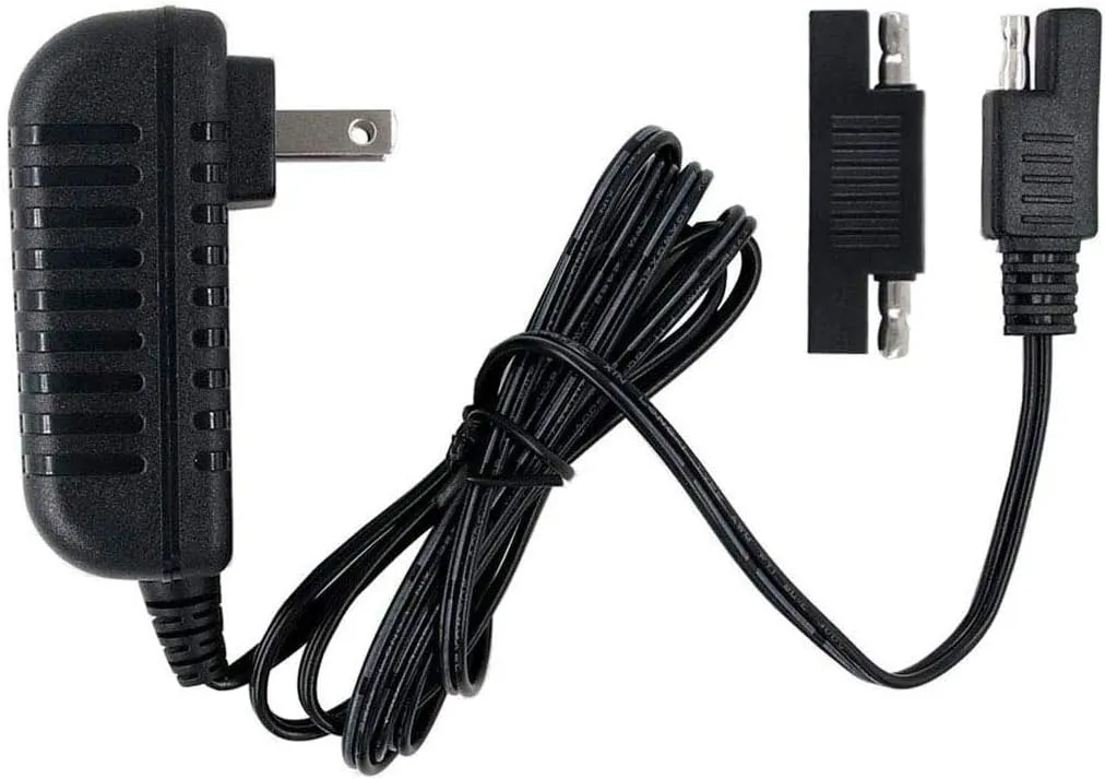 Replacement Charger 6V Fit for Disney Quad Pacific Cycle Marvel The Avenger Good Dinosaur Princess Fairies Minnie Mouse Frozen CAR McQueen ATV 6V Battery Ride ON Walmart Target Toy R US